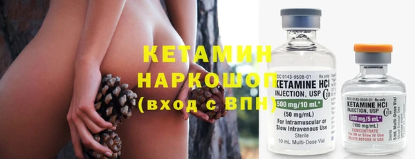 прущие грибы Балабаново