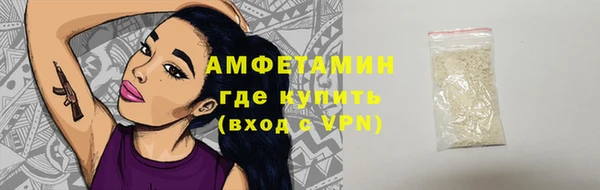прущие грибы Балабаново