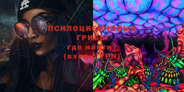 дмт Баксан