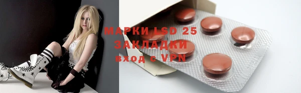 прущие грибы Балабаново
