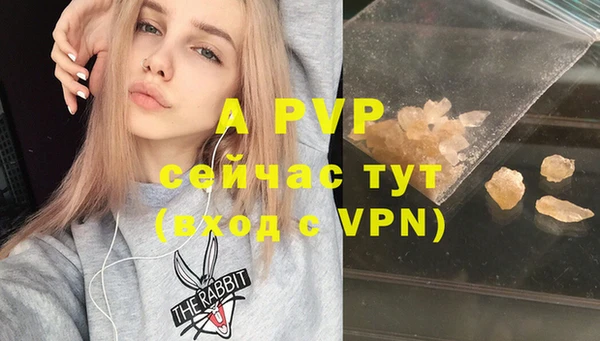 прущие грибы Балабаново