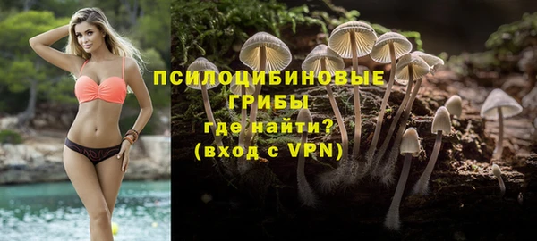 прущие грибы Балабаново